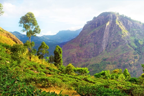 Ella, Sri Lanka